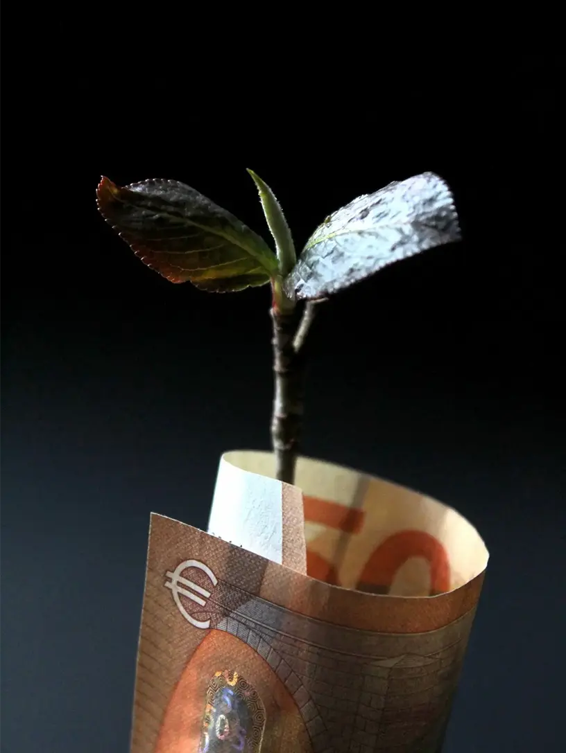 En euroseddel med en plante, der vokser ud af den, der repræsenterer konceptet andelsboliglån beregner.