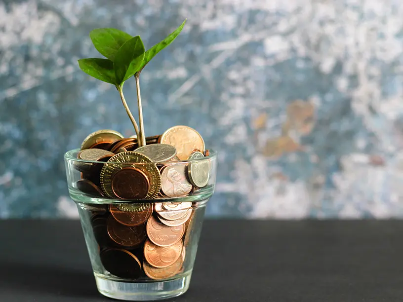 En glasvase med mønter og en plante, der vokser ud af den, som viser en unik blanding af natur og penge.