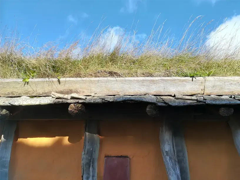 Et græsklædt tag på et sommerhus.